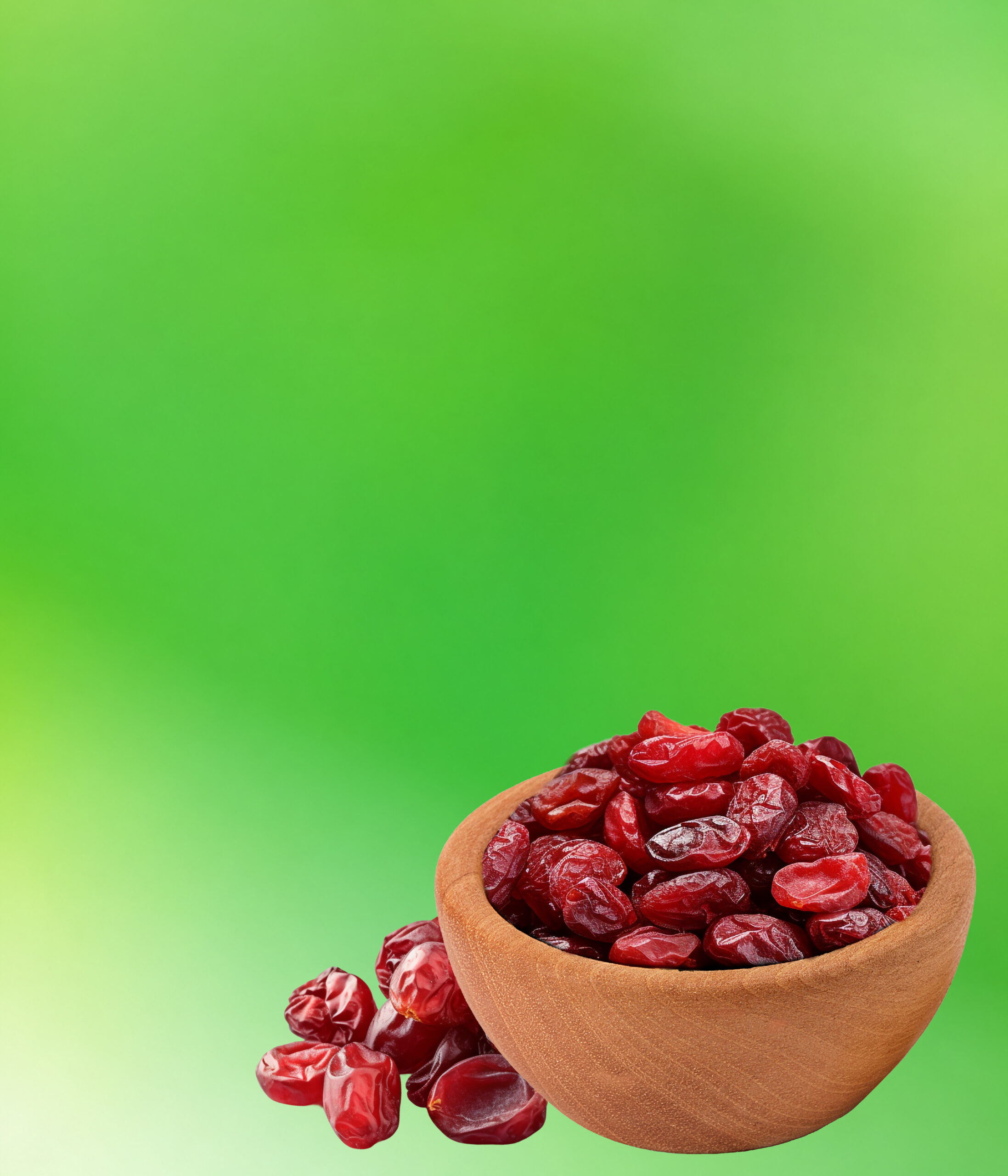 DRIED CRANBERRIES